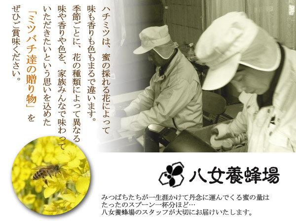 会社概要2